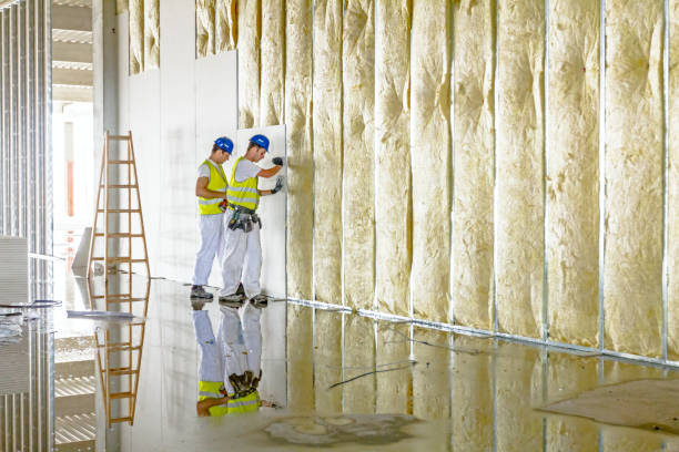 Best Residential Insulation in Rolling Hills Estates, CA